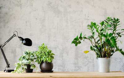 Bedroom Wallpaper Installation in Kansas City, KS